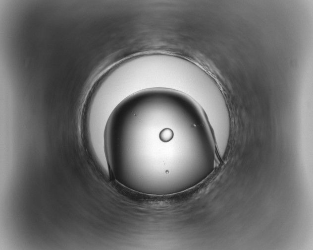 X0000096450344200802141516