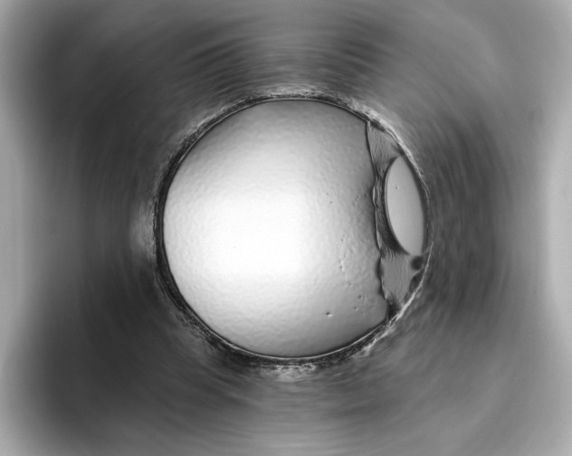 X0000096450345200802141516