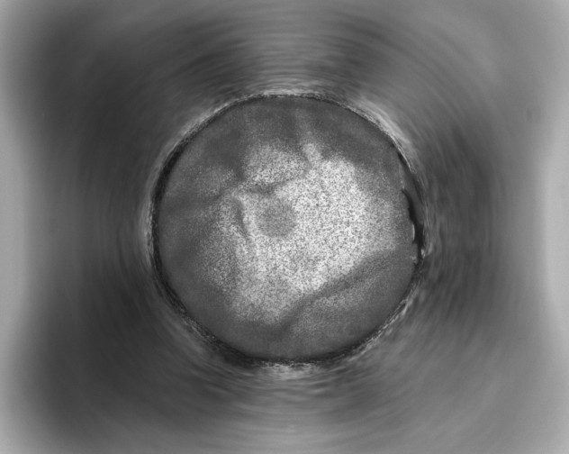 X0000096450346200802141516