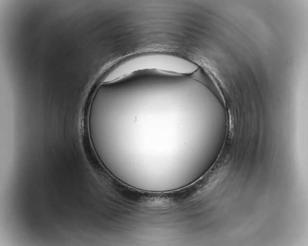 X0000096450348200802141516