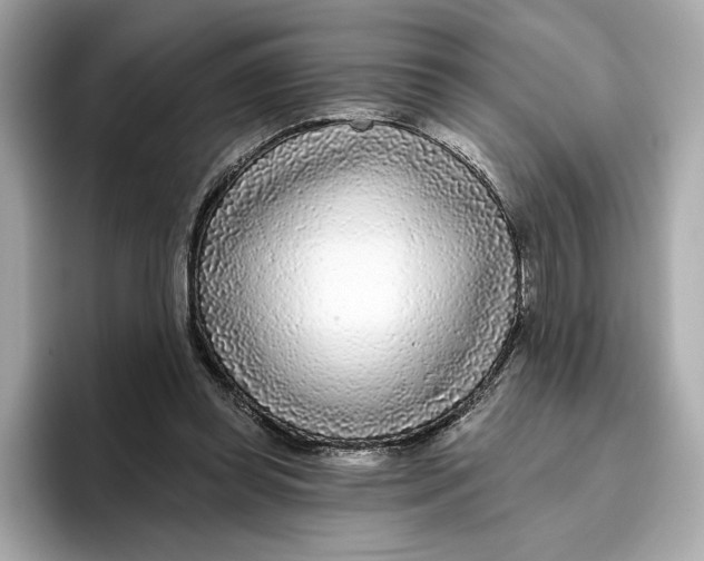 X0000096450349200802141516