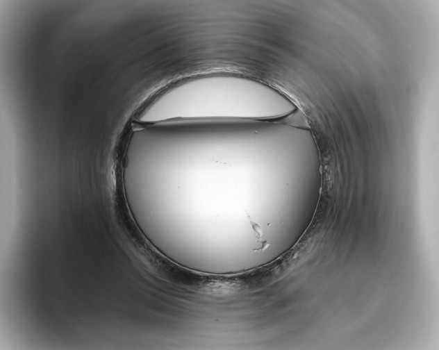 X0000096450350200802141516