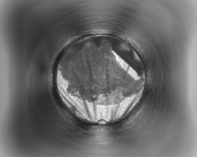 X0000096450351200802141517