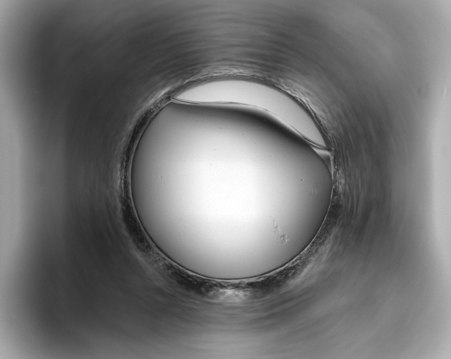 X0000096450352200802141517