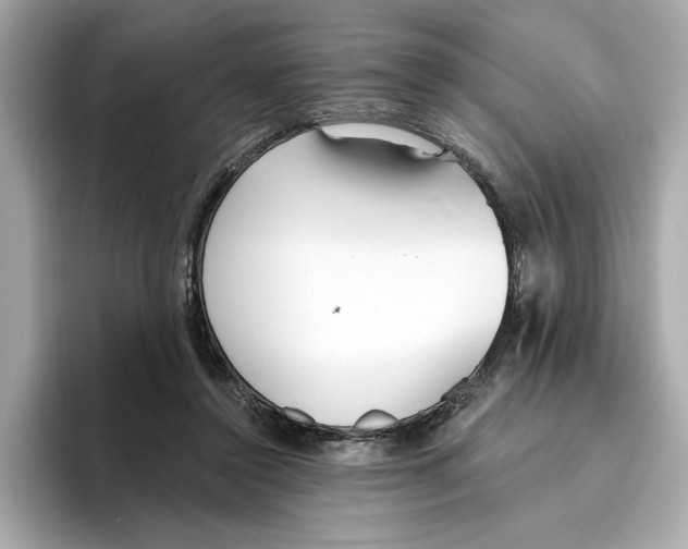 X0000096450356200802141517