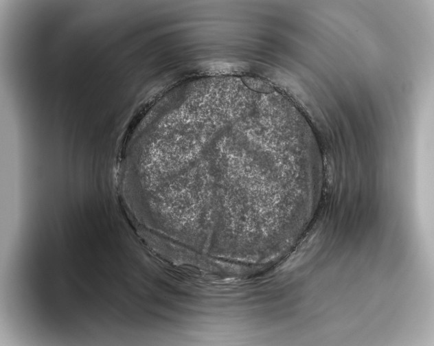 X0000096450357200802141517