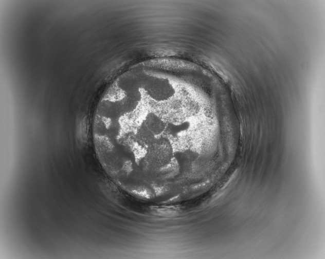 X0000096450359200802141517