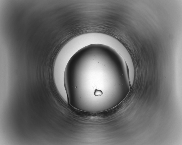 X0000096450360200802141517