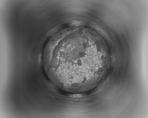 X0000096450361200802141517