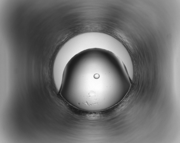 X0000096450362200802141517