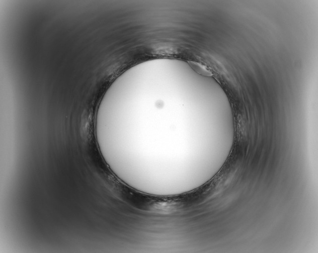 X0000096450364200802141517