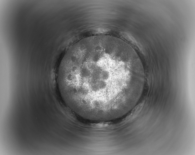 X0000096450366200802141517