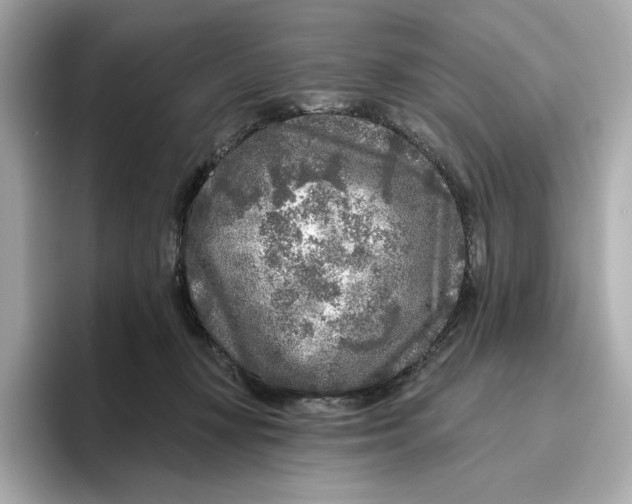 X0000096450367200802141517