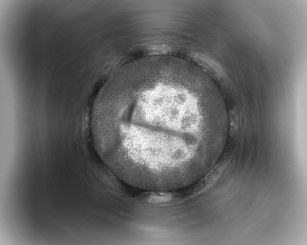 X0000096450369200802141517