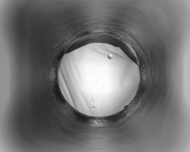 X0000096450372200802141517