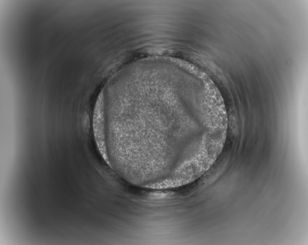 X0000096450375200802141517