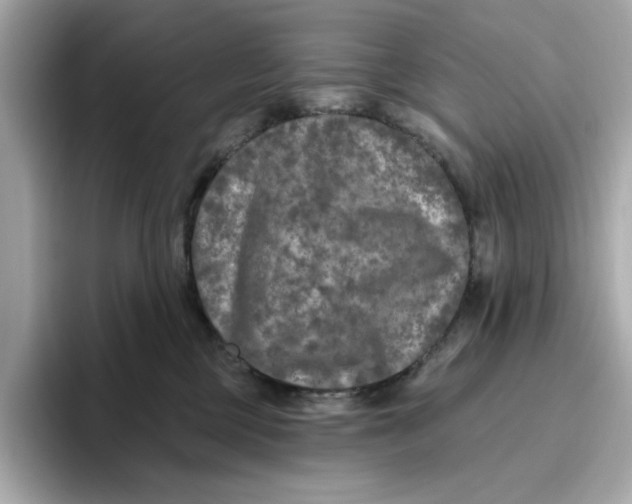 X0000096450377200802141517