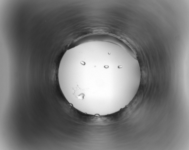 X0000096450379200802141517