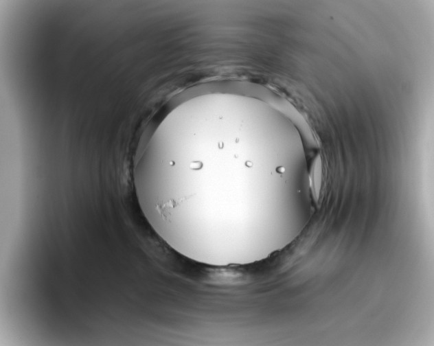 X0000096450380200802141517