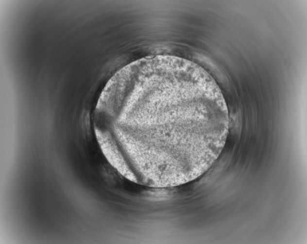 X0000096450381200802141517