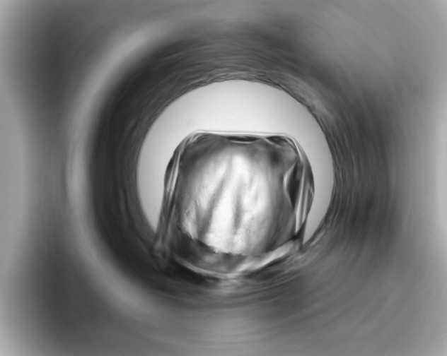 X0000096450382200802141517