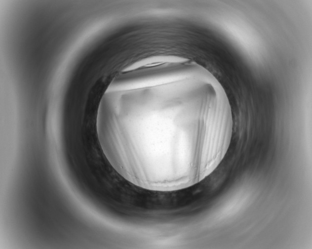 X0000096450383200802141517