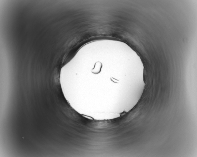 X0000096450384200802141517