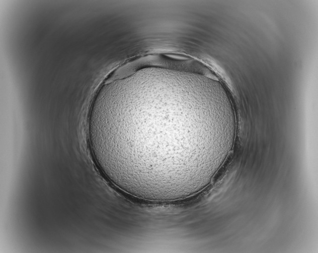 X0000096450385200802141516