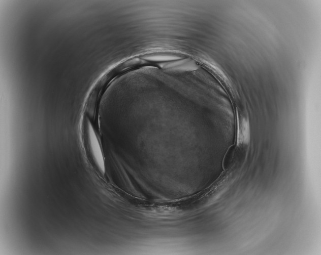 X0000096450387200802141516