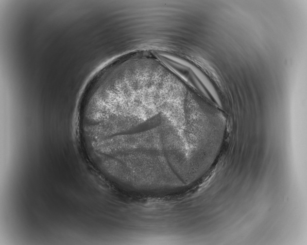 X0000096450388200802141516