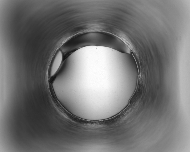 X0000096450389200802141516