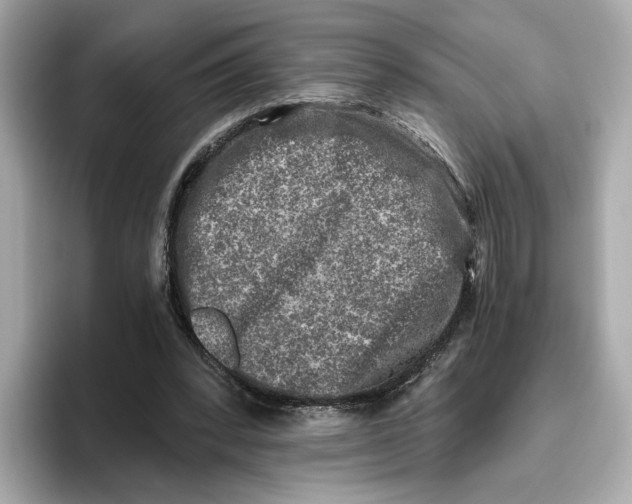 X0000096450392200802141516