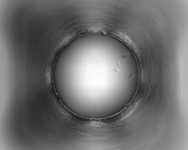 X0000096450393200802141516