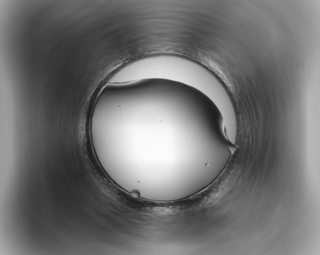 X0000096450394200802141516