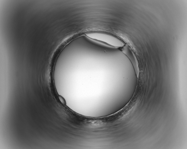 X0000096450395200802141516