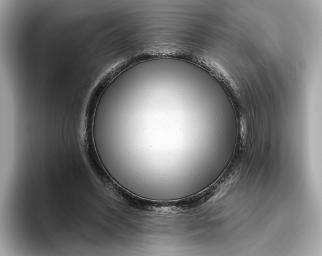 X0000096450396200802141516