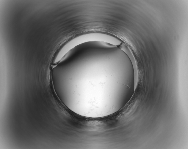 X0000096450397200802141516