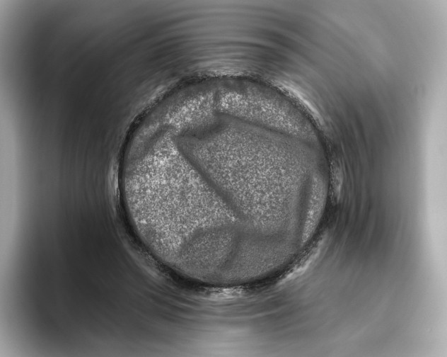 X0000096450398200802141516