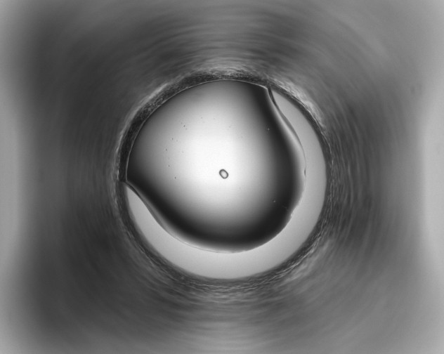 X0000096450399200802141516