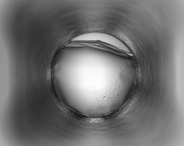 X0000096450401200802141516