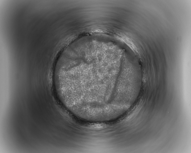 X0000096450402200802141516