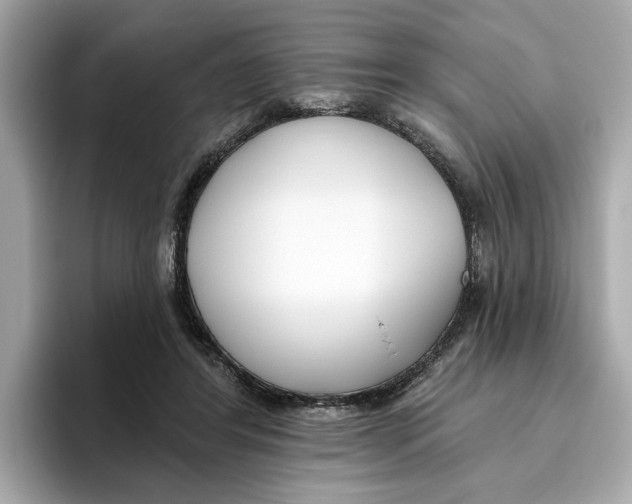 X0000096450404200802141516