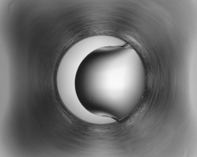 X0000096450405200802141516