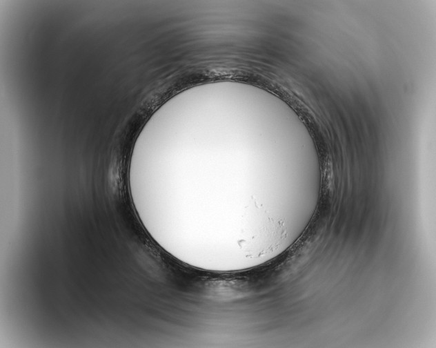 X0000096450408200802141516