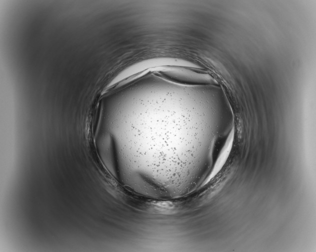 X0000096450409200802141516