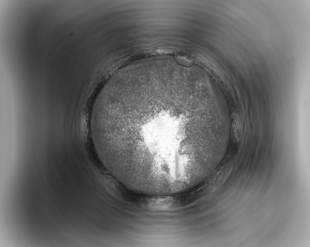 X0000096450410200802141516