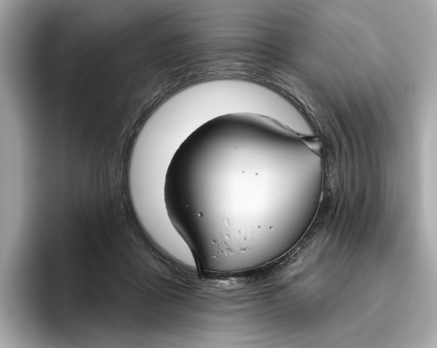 X0000096450411200802141516