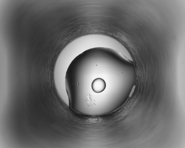 X0000096450415200802141516