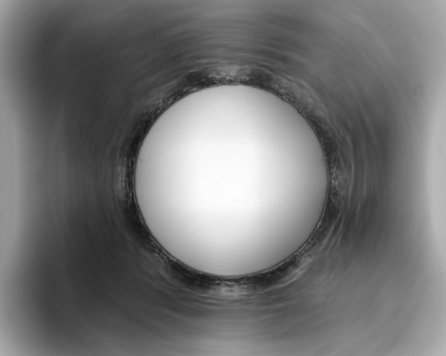 X0000096450416200802141516