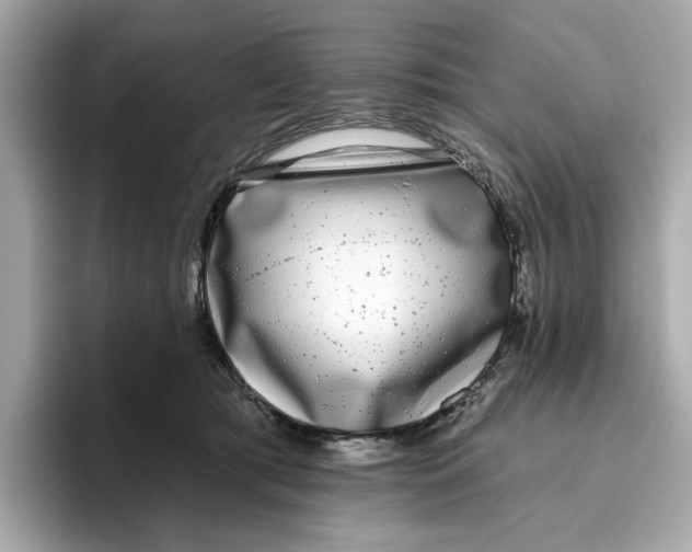 X0000096450417200802141516